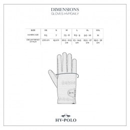 HV Polo Winter Glove Daily