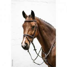 Schockemöhle Bridle Cape Town Select