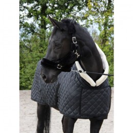 HB Showtime Show Rug Desir