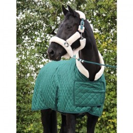 HB Showtime Show Rug Desir Burgundy