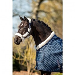 HB Showtime Steelblue Desir Show Rug