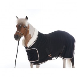 HB Polar Dutch Crown Europe Rose Show Rug