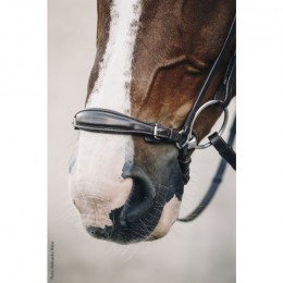 Schockemöhle Turin Select Noseband