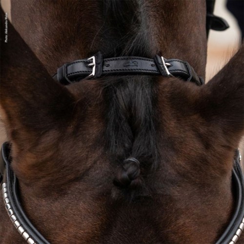 Schockemöhle Headpiece Equitus Rho