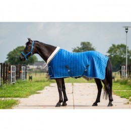 HB Showtime Tropical Show Rug