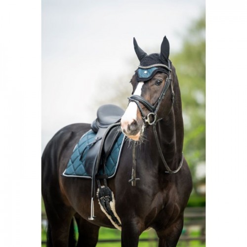 HB Showtime Glitter Earnet ST Logo