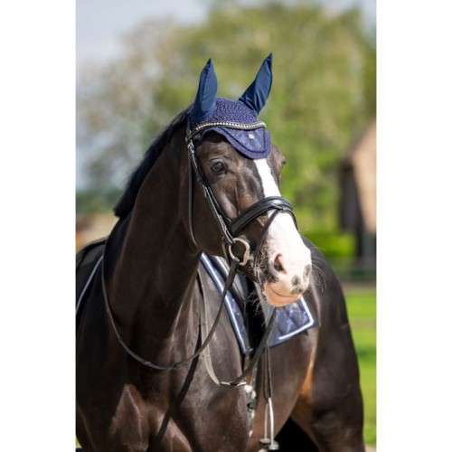 HB Showtime Glitter Earnet ST Logo