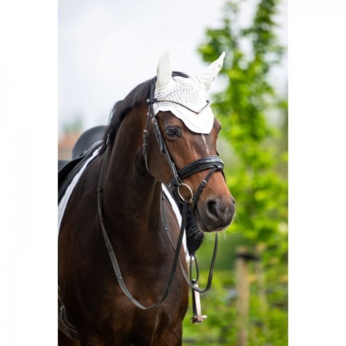 HB Showtime Glitter Earnet ST Logo