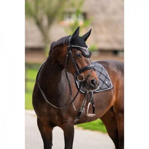 HB Showtime Glitter Earnet ST Logo