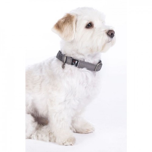 HKM Dog Collar Anam Cara