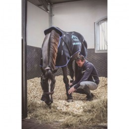 Veredus Magnetik Rug