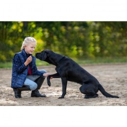 HKM kids riding vest Bria