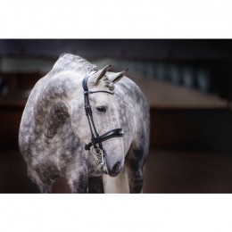 PS of Sweden Passage anatomical double bridle