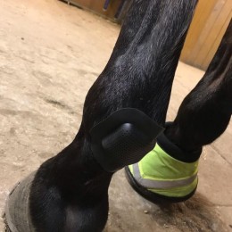 Rheva Kombo Wound Protection