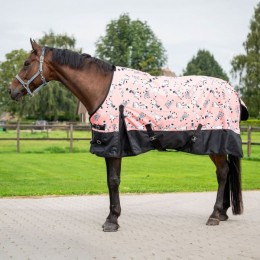 HB Outdoor Rug 200g Mr Squeez