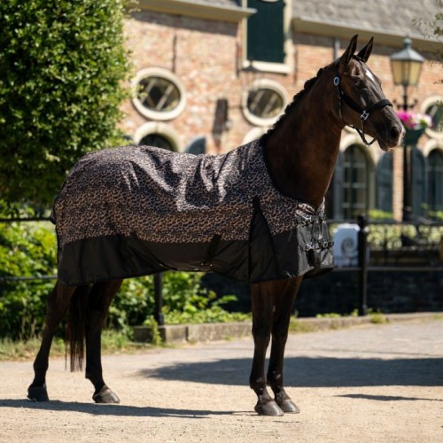 HB Outdoor Rug Leopard 0g