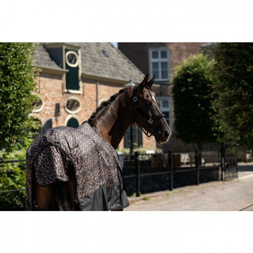 HB Outdoor Rug Leopard 0g