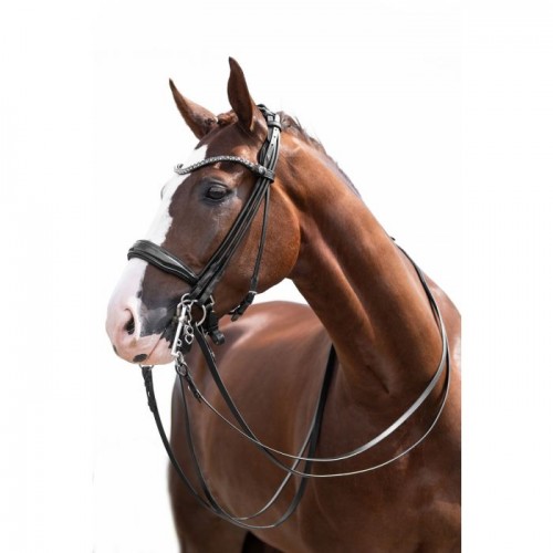 HKM Double Bridle Kate