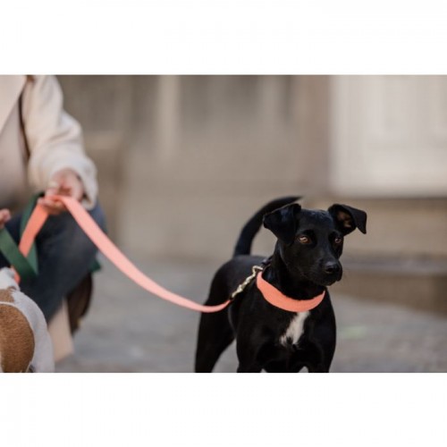 Kentucky Dog Lead Jacquard 140 cm