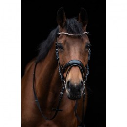 HKM Hoofdstel Kopenhagen