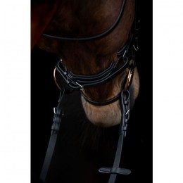 HKM Hoofdstel Kopenhagen