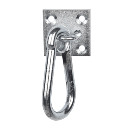 Waldhausen Carabiner with wall plate