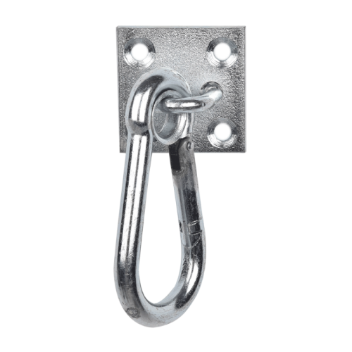 Waldhausen Carabiner with wall plate