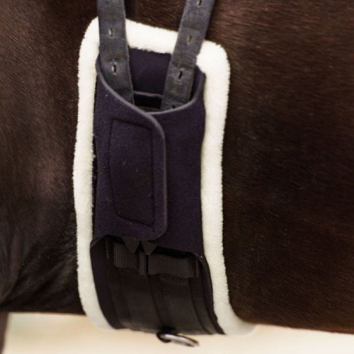 Imperial Riding FW'24 Dressage Girth IRHComfort