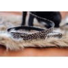 Kentucky Dog Lead Leopard 120 cm