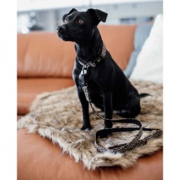 Kentucky Dog Lead Leopard 120 cm