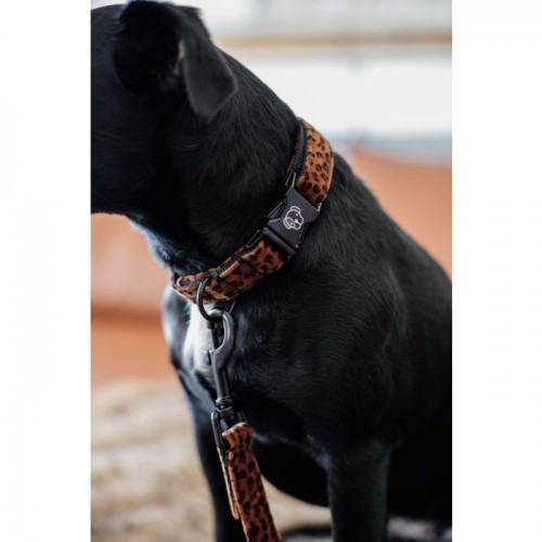 Kentucky Dog Collar Leopard