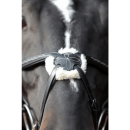 Covalliero Mexican Bridle