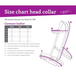 QHP Cavesson Leather