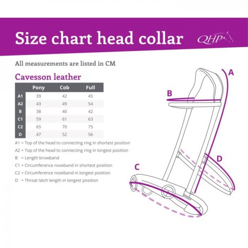 QHP Cavesson Leather