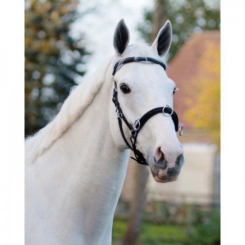 QHP Cavesson Leather