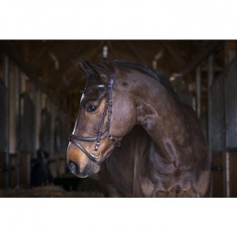 PS of Sweden Jump off bridle