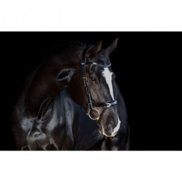 PS of Sweden Jump off bridle