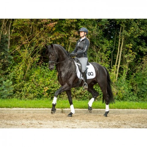 Equestic Saddle Clip