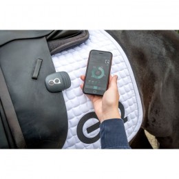 Equestic Saddle Clip