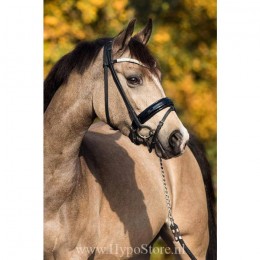 Premiera "Athena" black bridle with patent leather noseband, silver buckles