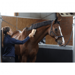 MagicBrush Combi Brush 2in1