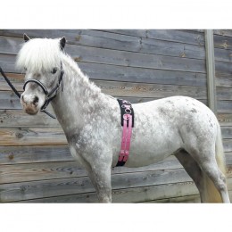 HB Lunging Girths Little Sizes