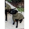 Kentucky Dog Coat Winter Pina