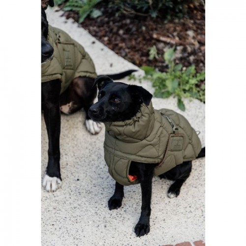 Kentucky Dog Coat Winter Pina
