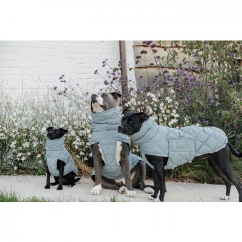 Kentucky Dog Coat Winter Pina