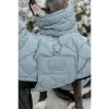 Kentucky Dog Coat Winter Pina