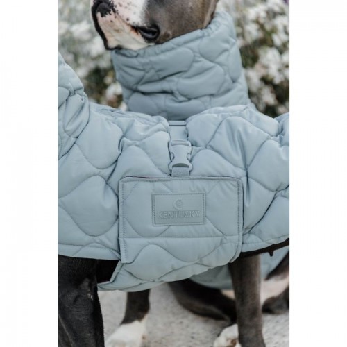 Kentucky Dog Coat Winter Pina