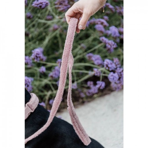 Kentucky Dog Leash Teddy Fleece 120cm