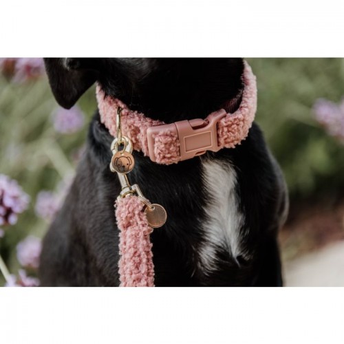 Kentucky Dog Collar Teddy Fleece