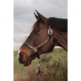 Dyon US Halter With Adjustment